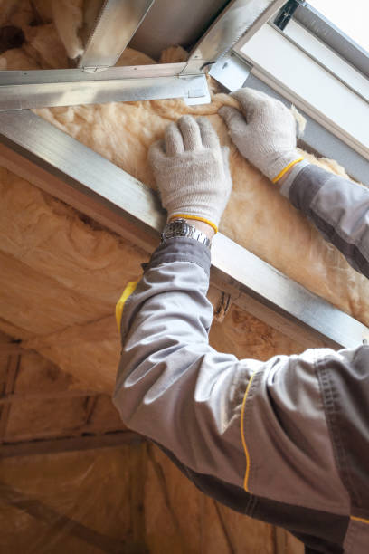 Best Fiberglass Insulation in Wolf Lake, MI