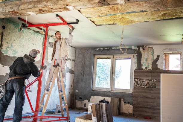Best Geographic-Specific Insulation Services in Wolf Lake, MI