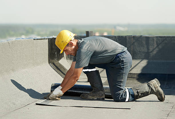 Best DIY Insulation Kits and Guidance in Wolf Lake, MI