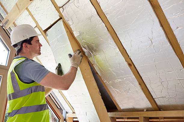 Best Specialized Insulation Services in Wolf Lake, MI