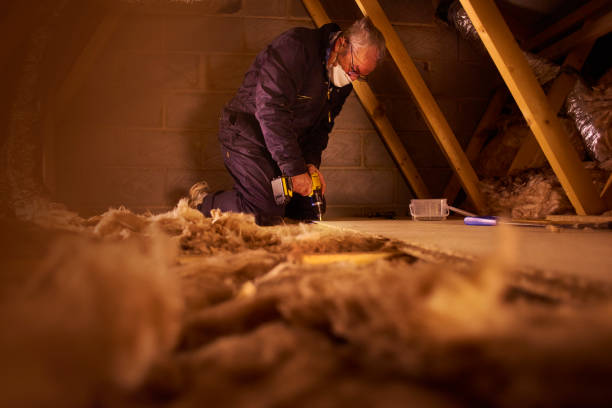 Best Energy Efficiency Insulation in Wolf Lake, MI
